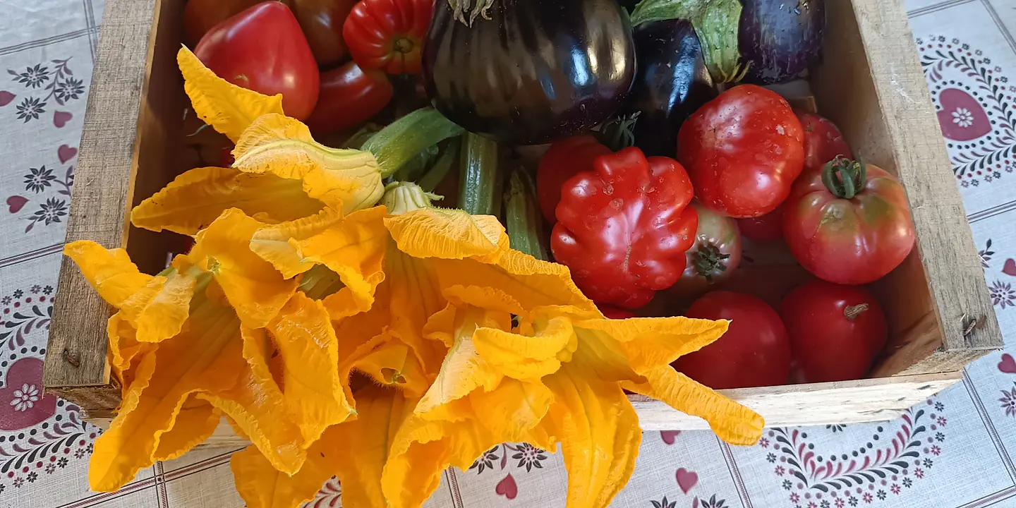 Cassetta del Podere con fiori di zucca, pomodori e melanzane